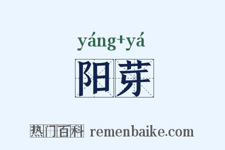 阳芽是什么意思的图片